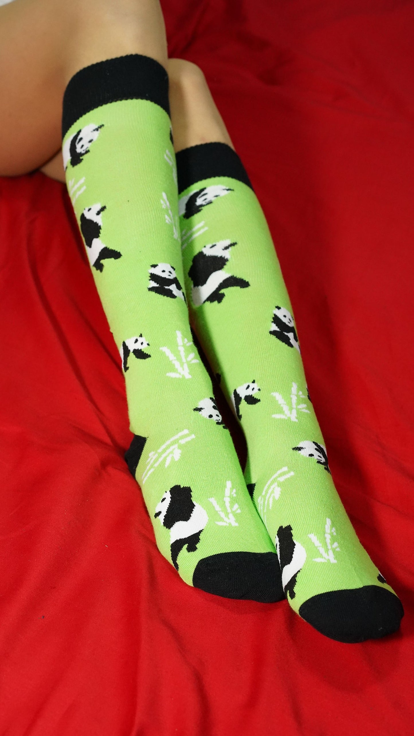 Silly Panda Knee High Socks