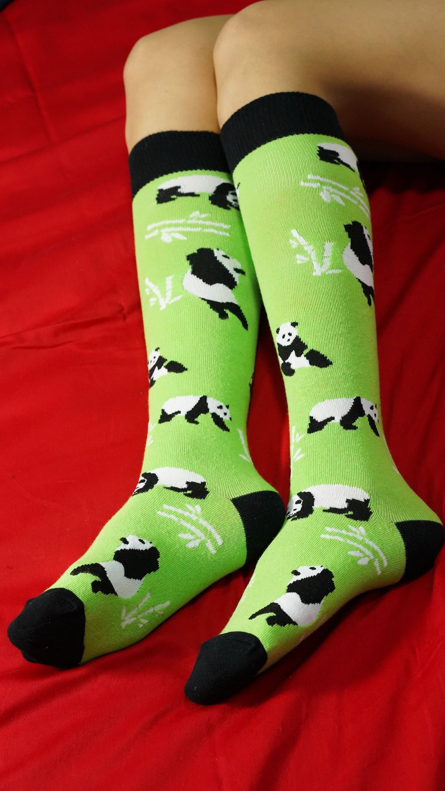 Silly Panda Knee High Socks