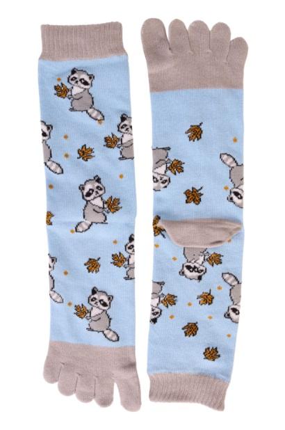 Raccoon Socks